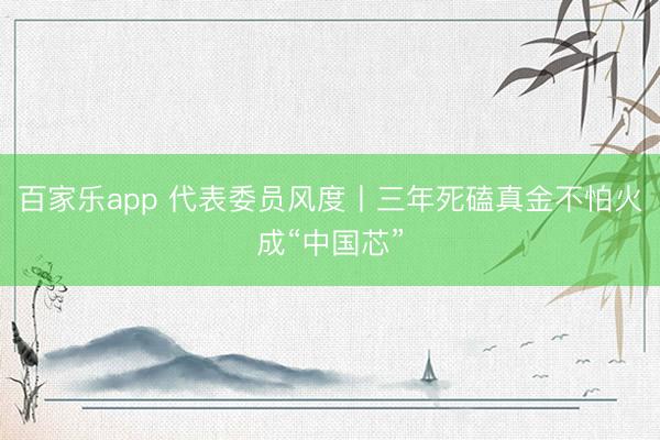百家乐app 代表委员风度丨三年死磕真金不怕火成“中国芯”