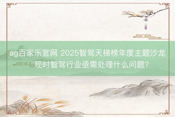 ag百家乐官网 2025智驾天梯榜年度主题沙龙：现时智驾行业亟需处理什么问题？