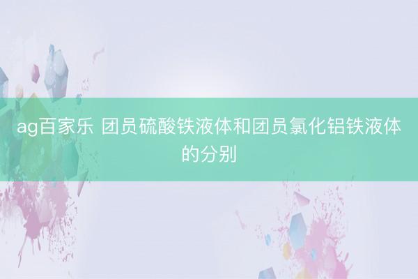 ag百家乐 团员硫酸铁液体和团员氯化铝铁液体的分别