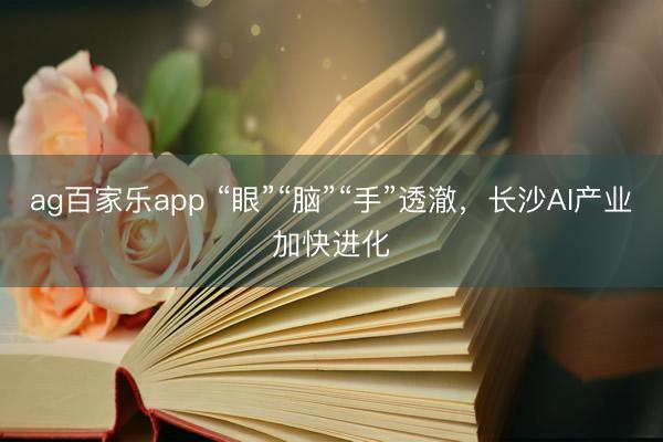 ag百家乐app “眼”“脑”“手”透澈，长沙AI产业加快进化