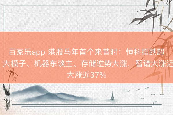 百家乐app 港股马年首个来昔时:恒科指跌超2%,大模子、机器东谈主、存储逆势大涨,智谱大涨近37%