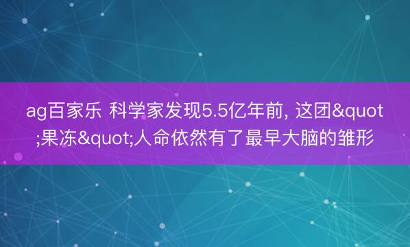 ag百家乐 科学家发现5.5亿年前, 这团"果冻"人命依然有了最早大脑的雏形