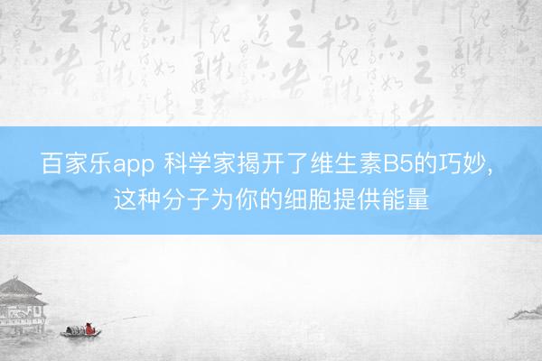 百家乐app 科学家揭开了维生素B5的巧妙, 这种分子为你的细胞提供能量