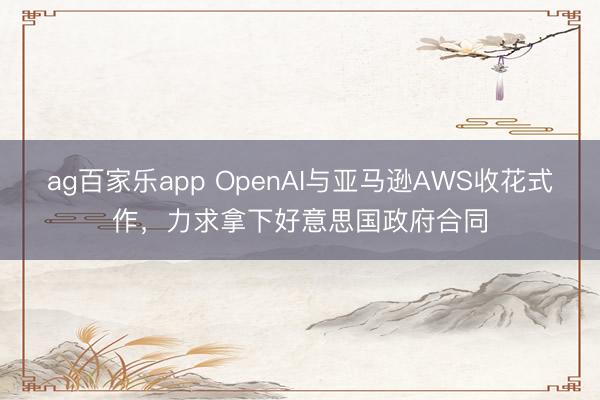 ag百家乐app OpenAI与亚马逊AWS收花式作，力求拿下好意思国政府合同