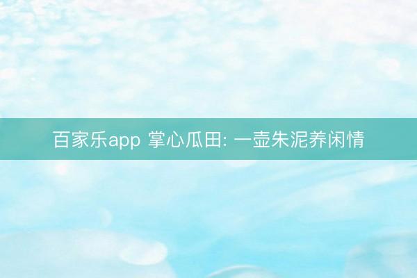 百家乐app 掌心瓜田: 一壶朱泥养闲情