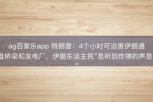 ag百家乐app 特朗普：4个小时可迫害伊朗通盘桥梁和发电厂，伊朗东谈主民“思听到炸弹的声息”