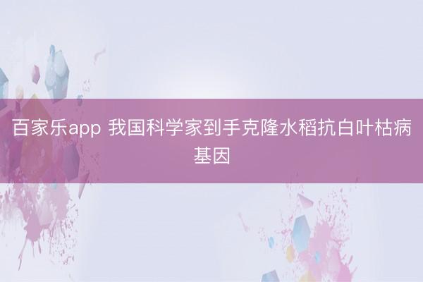 百家乐app 我国科学家到手克隆水稻抗白叶枯病基因