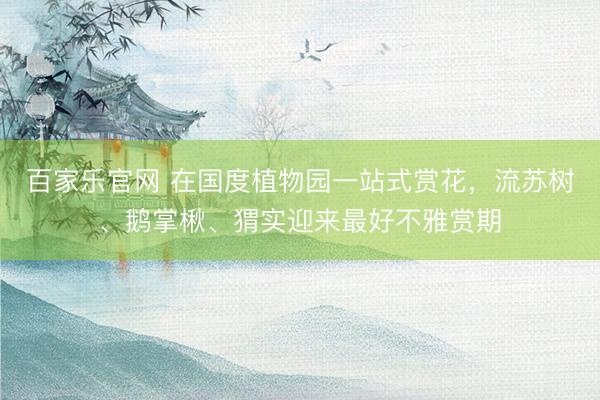百家乐官网 在国度植物园一站式赏花，流苏树、鹅掌楸、猬实迎来最好不雅赏期