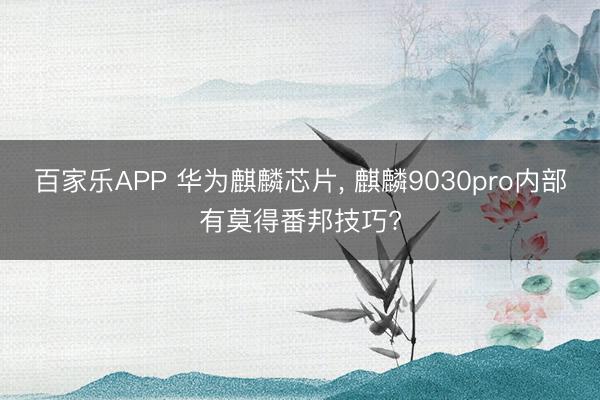 百家乐APP 华为麒麟芯片， 麒麟9030pro内部有莫得番邦技巧?