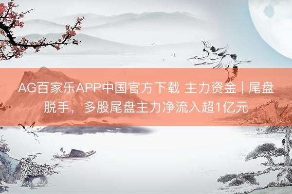AG百家乐APP中国官方下载 主力资金 | 尾盘脱手，多股尾盘主力净流入超1亿元