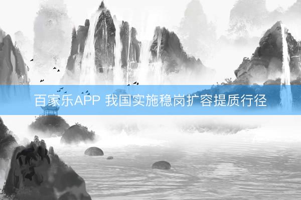 百家乐APP 我国实施稳岗扩容提质行径