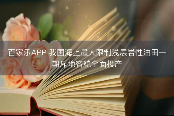 百家乐APP 我国海上最大限制浅层岩性油田一期斥地容貌全面投产
