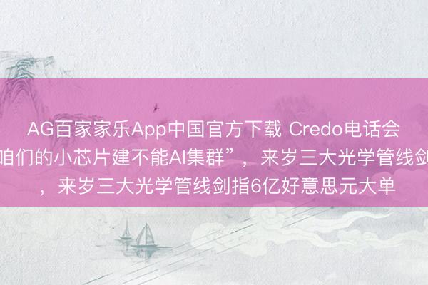 AG百家家乐App中国官方下载 Credo电话会：CEO霸气宣告“没咱们的小芯片建不能AI集群” ，来岁三大光学管线剑指6亿好意思元大单