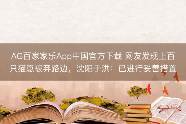 AG百家家乐App中国官方下载 网友发现上百只猫崽被弃路边，沈阳于洪：已进行妥善措置