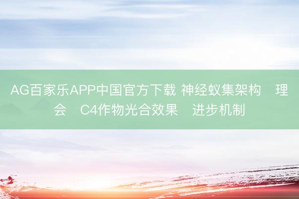 AG百家乐APP中国官方下载 神经蚁集架构‌理会‌C4作物光合效果‌进步机制‌