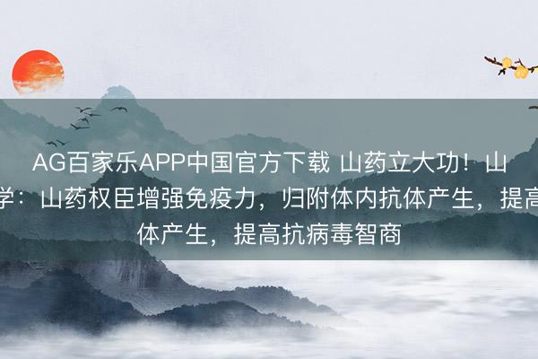 AG百家乐APP中国官方下载 山药立大功！山东中医药大学：山药权臣增强免疫力，归附体内抗体产生，提高抗病毒智商