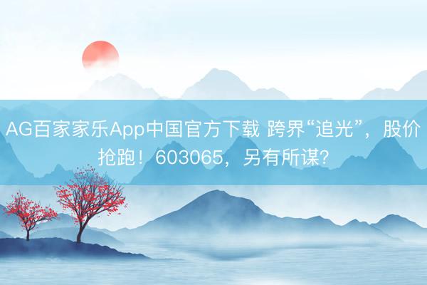 AG百家家乐App中国官方下载 跨界“追光”，股价抢跑！603065，另有所谋？