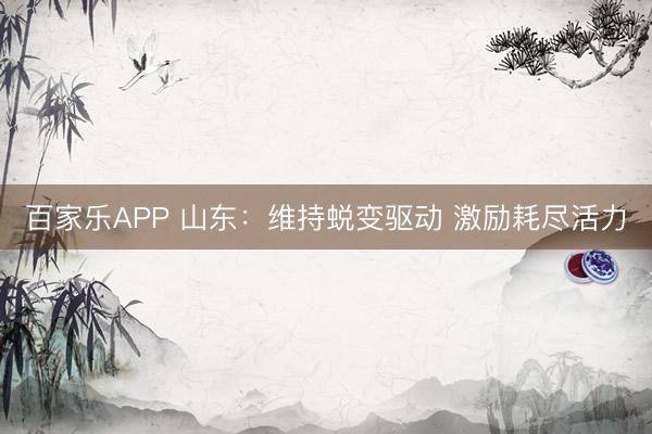 百家乐APP 山东:维持蜕变驱动 激励耗尽活力