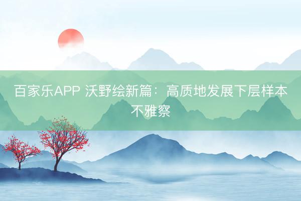 百家乐APP 沃野绘新篇：高质地发展下层样本不雅察